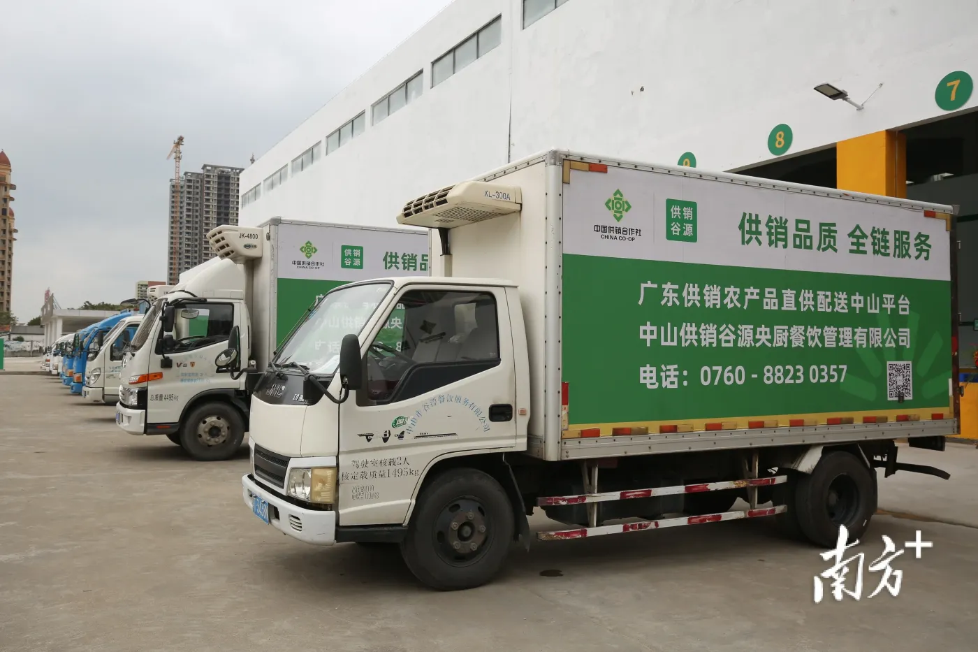 有机牛肉:绿色健康的秘密武器