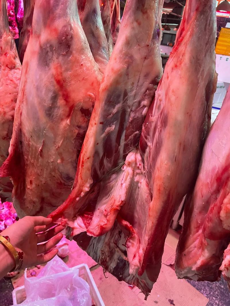 走进和田羊肉的世界：绿色与健康的美味盛宴