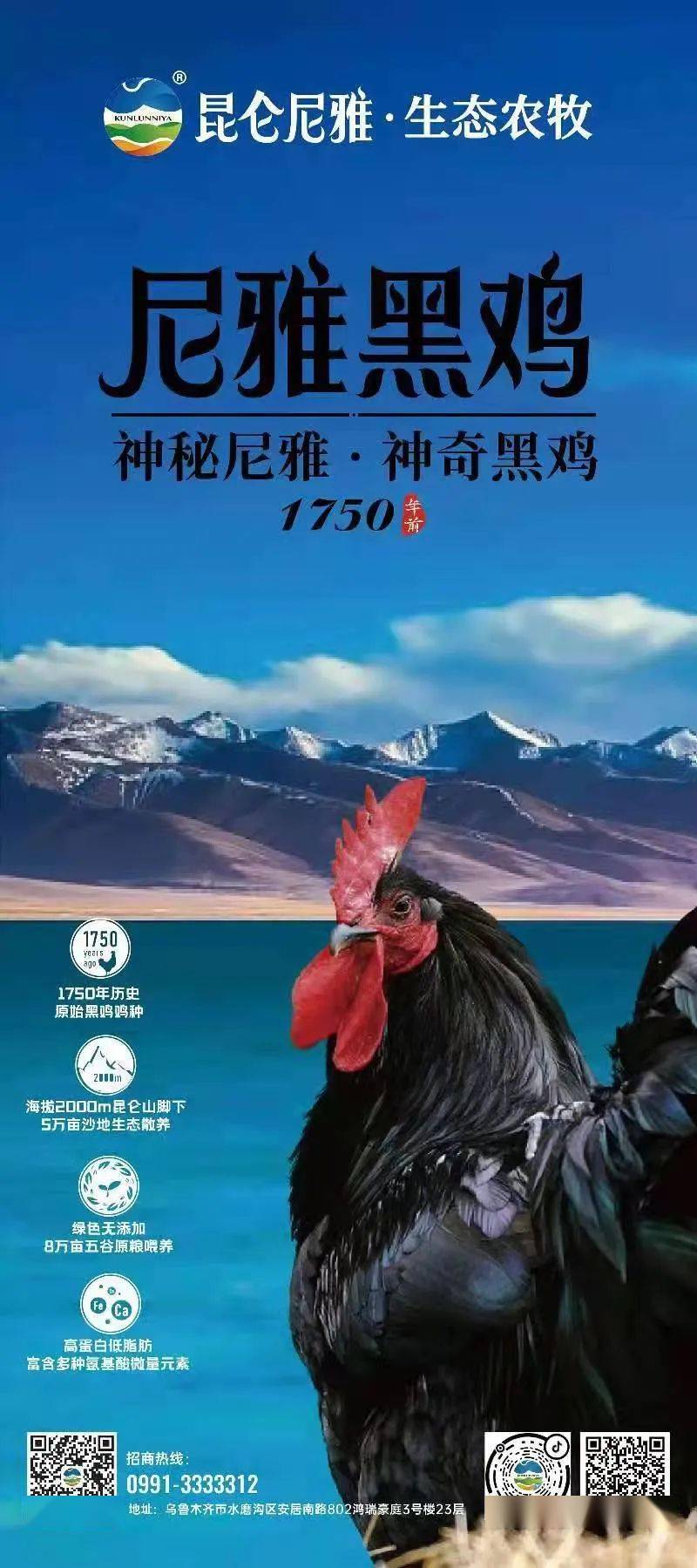 昆仑尼雅——自然与冒险的完美结合